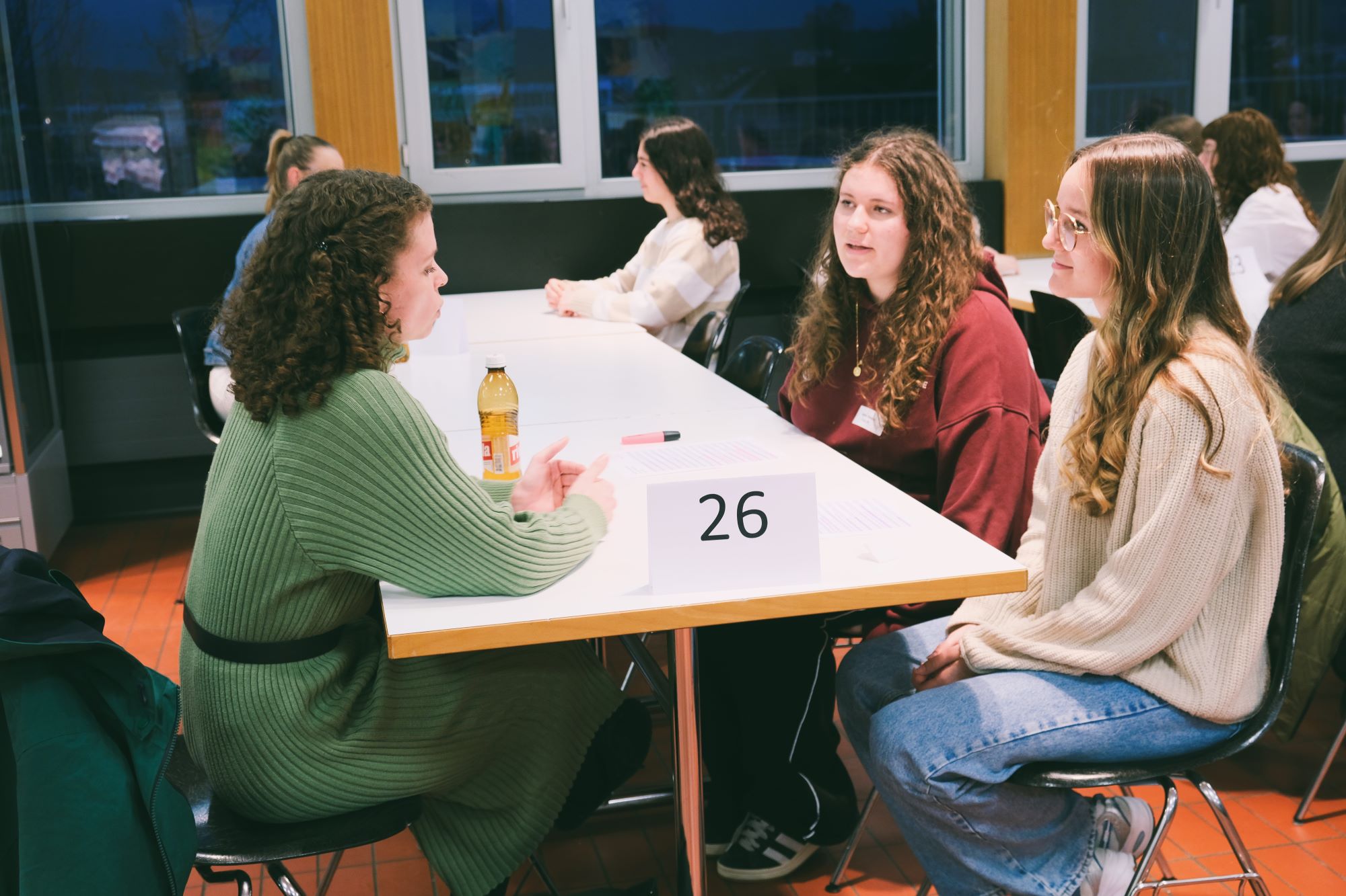 MINT-Frauen-Speeddating 2025